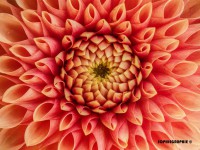 /album/repetition1/pologne-copyright46-jpg/